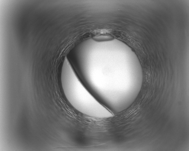 X0000066001393200603031016