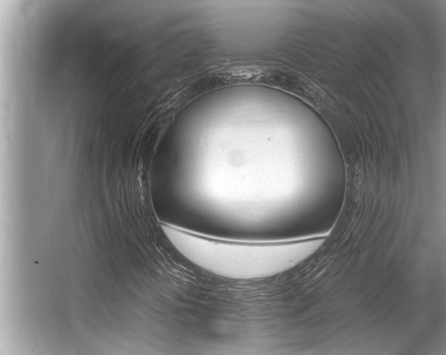 X0000066001394200603031016
