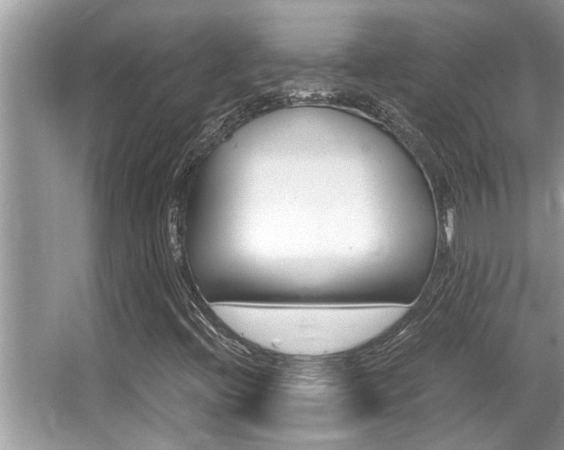 X0000066001396200603031016
