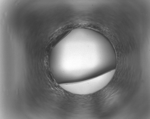 X0000066001397200603031016