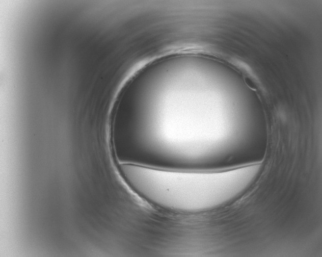 X0000066001424200603031016