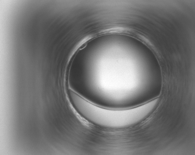 X0000066001426200603031016