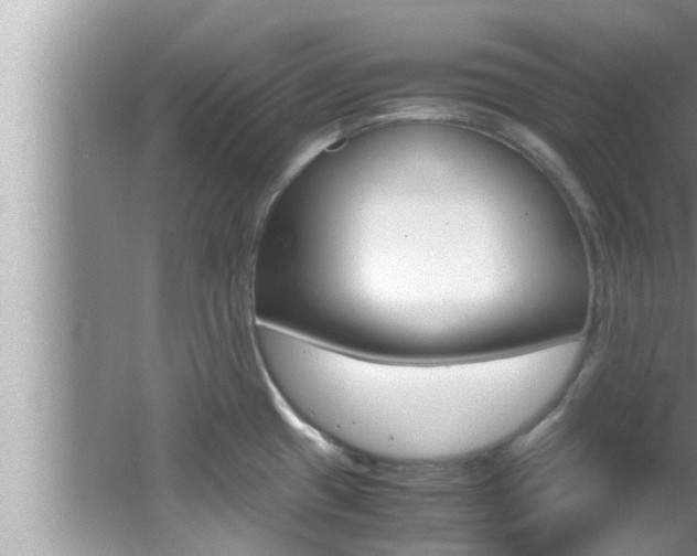 X0000066001433200603031016