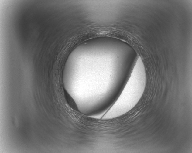X0000066001441200603031016