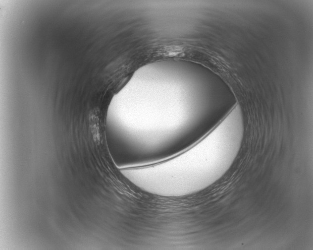 X0000066001442200603031016