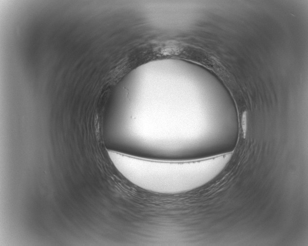 X0000066001443200603031016