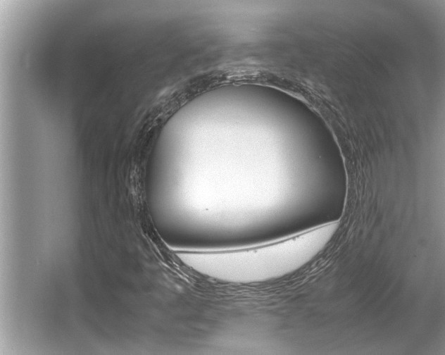 X0000066001445200603031016