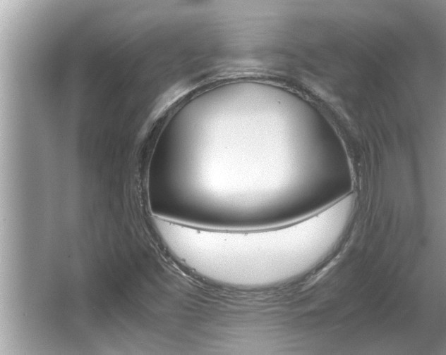X0000066001453200603031015