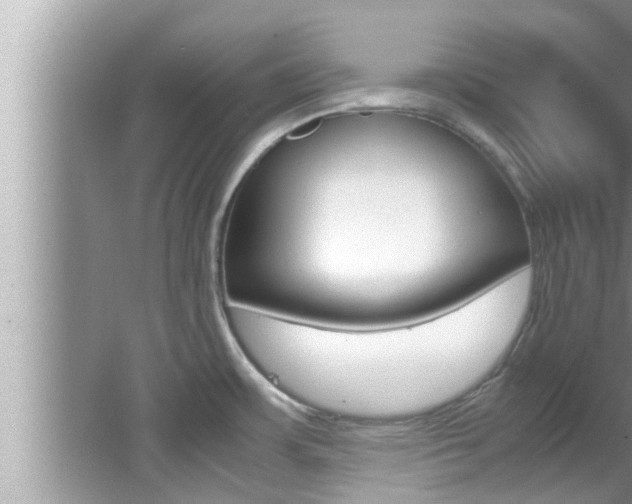 X0000066001483200603031015