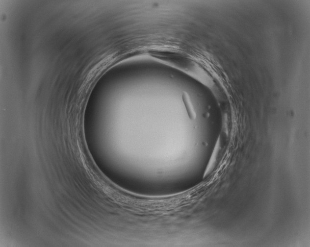 X0000066000001200603031232