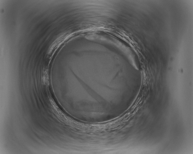 X0000066000002200603031232