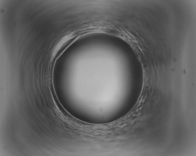 X0000066000003200603031232