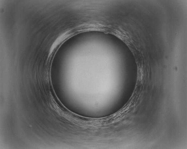 X0000066000004200603031232