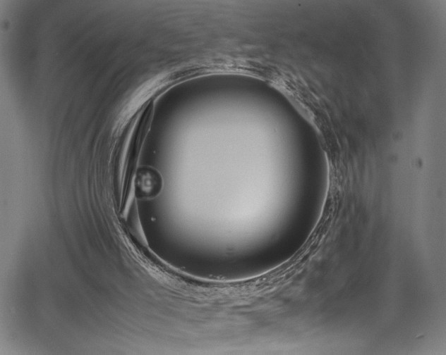 X0000066000005200603031232