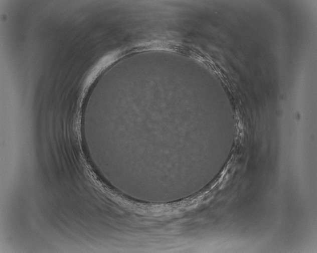 X0000066000006200603031232