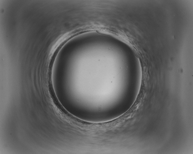 X0000066000007200603031232