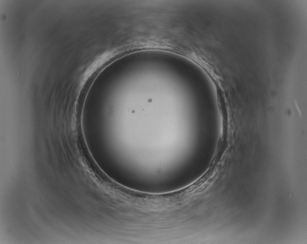 X0000066000008200603031232