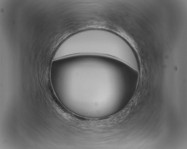 X0000066000009200603031232