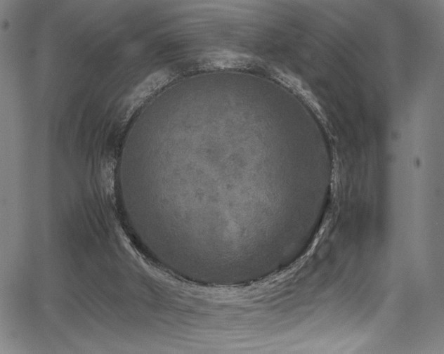 X0000066000010200603031232