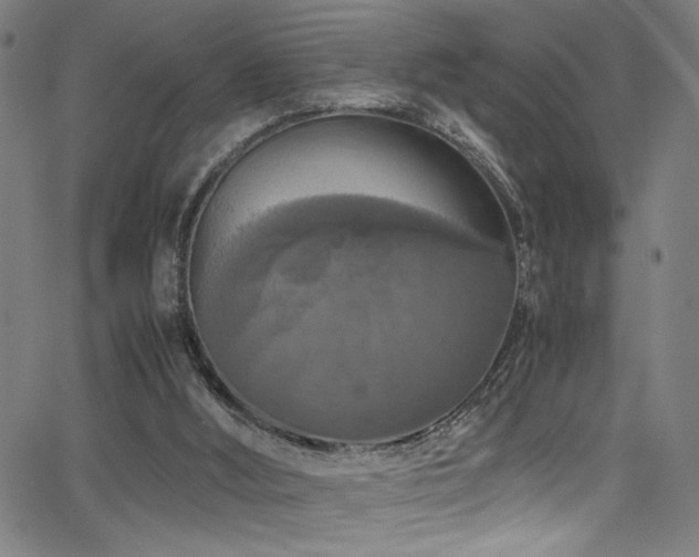 X0000066000012200603031232