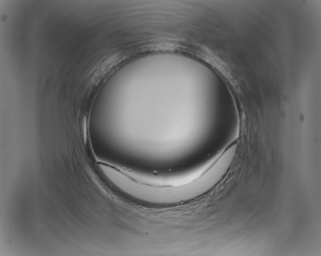 X0000066000013200603031232