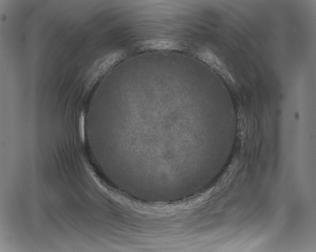 X0000066000014200603031232