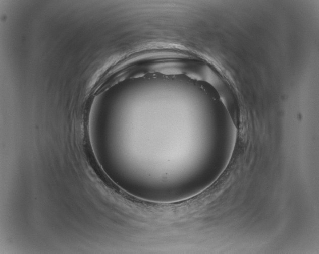 X0000066000015200603031232