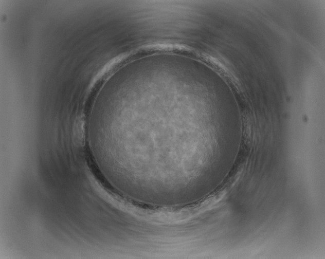 X0000066000016200603031232