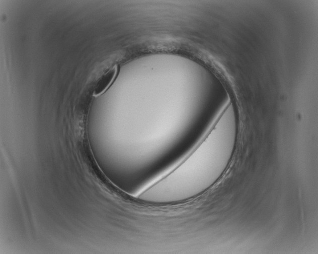 X0000066000017200603031232