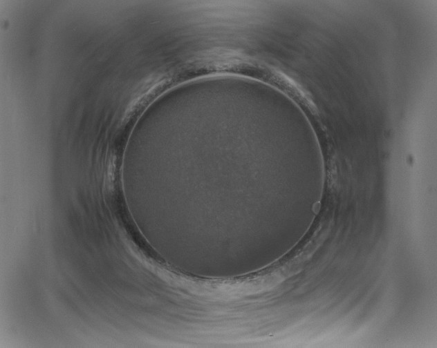 X0000066000018200603031232