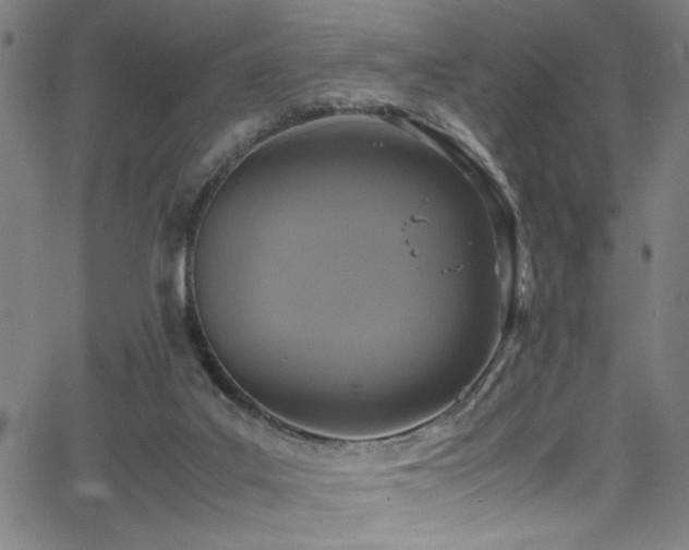 X0000066000019200603031232