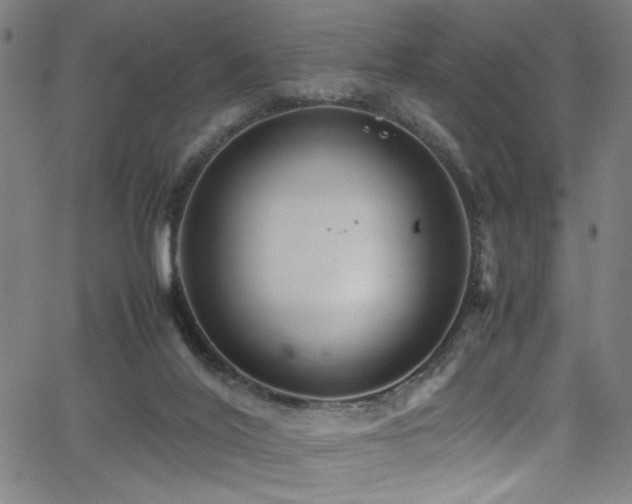 X0000066000020200603031232