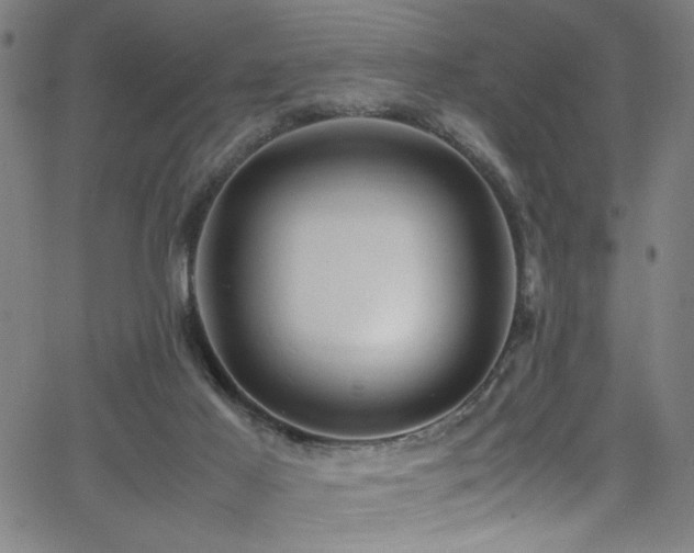 X0000066000021200603031232