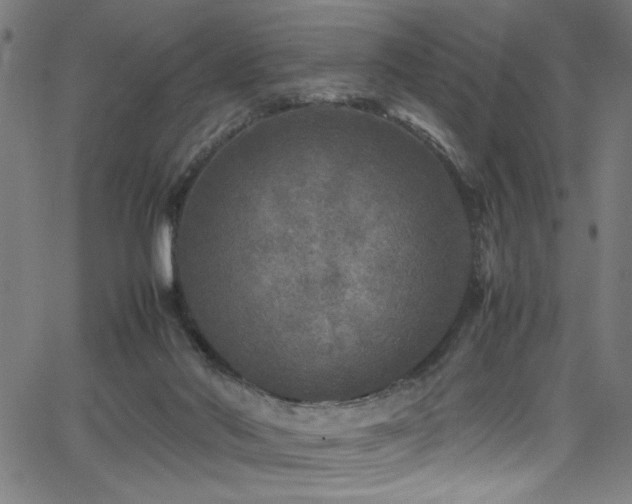 X0000066000022200603031232