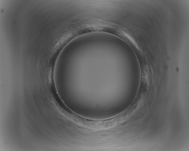 X0000066000023200603031232