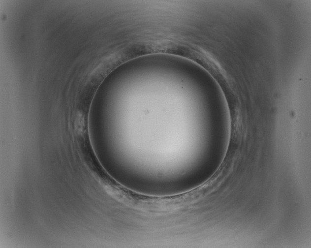 X0000066000025200603031232