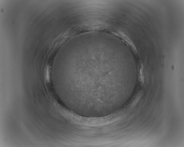 X0000066000026200603031232