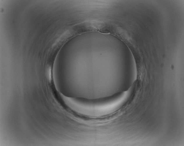 X0000066000027200603031232