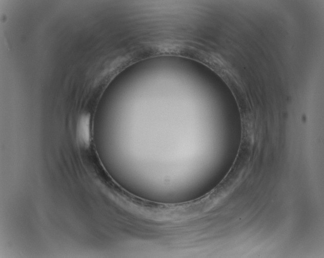 X0000066000028200603031232