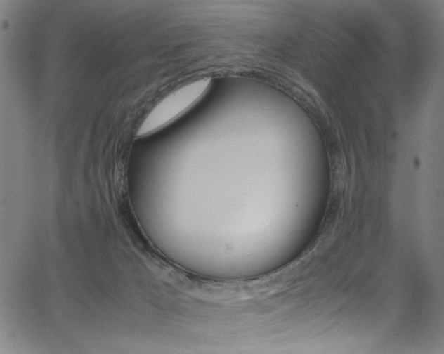 X0000066000029200603031232