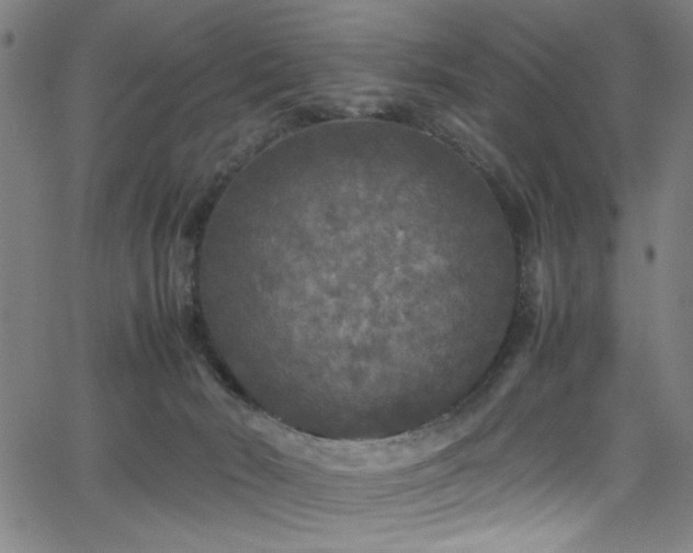 X0000066000030200603031232