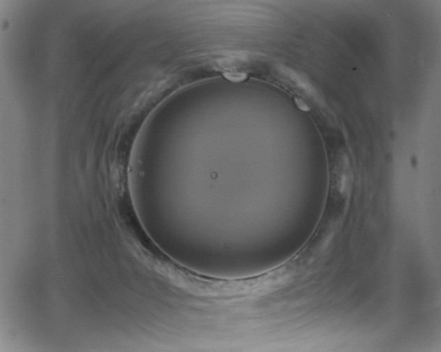 X0000066000031200603031232