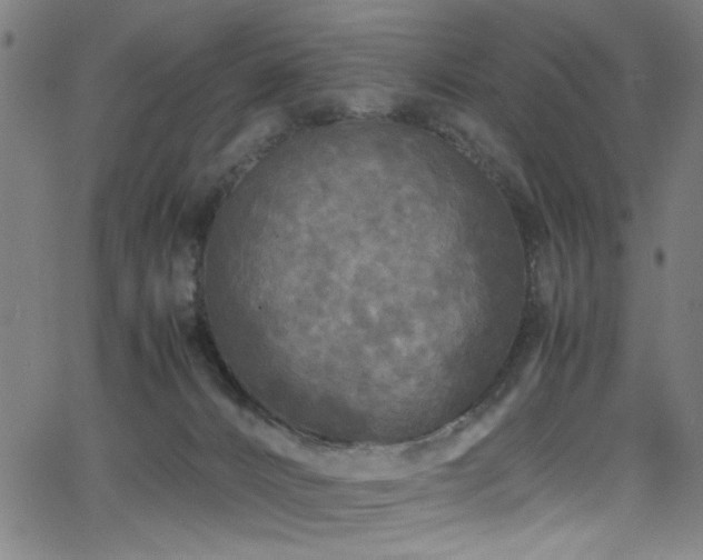 X0000066000032200603031232