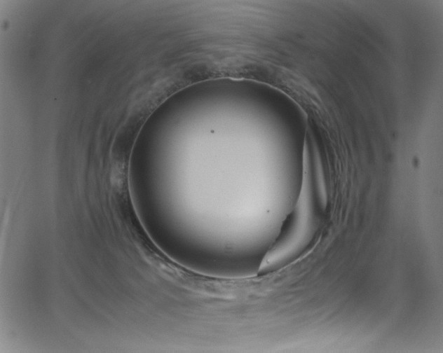 X0000066000033200603031232