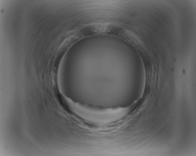 X0000066000035200603031232