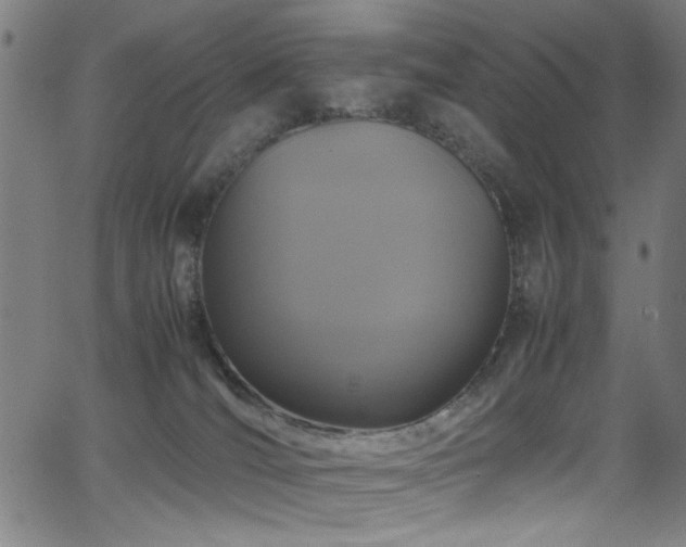 X0000066000036200603031232