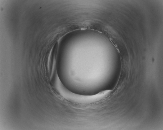 X0000066000037200603031232