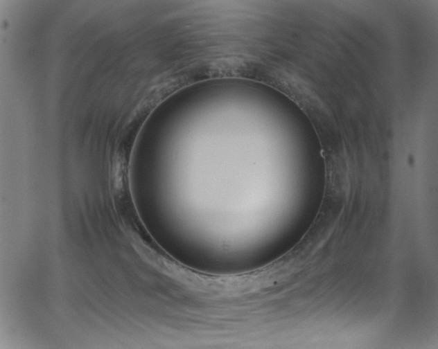 X0000066000038200603031232