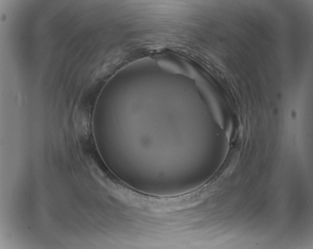 X0000066000039200603031232