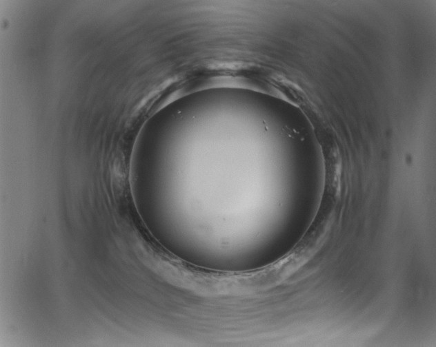 X0000066000040200603031232